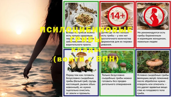 2c-b Михайловка