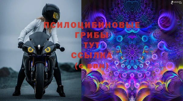 мдпв Михайловск