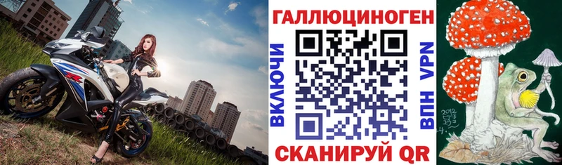 Псилоцибиновые грибы прущие грибы гидра онион Новодвинск