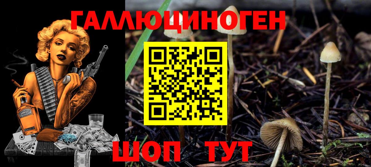 Галлюциногенные грибы мицелий Новодвинск