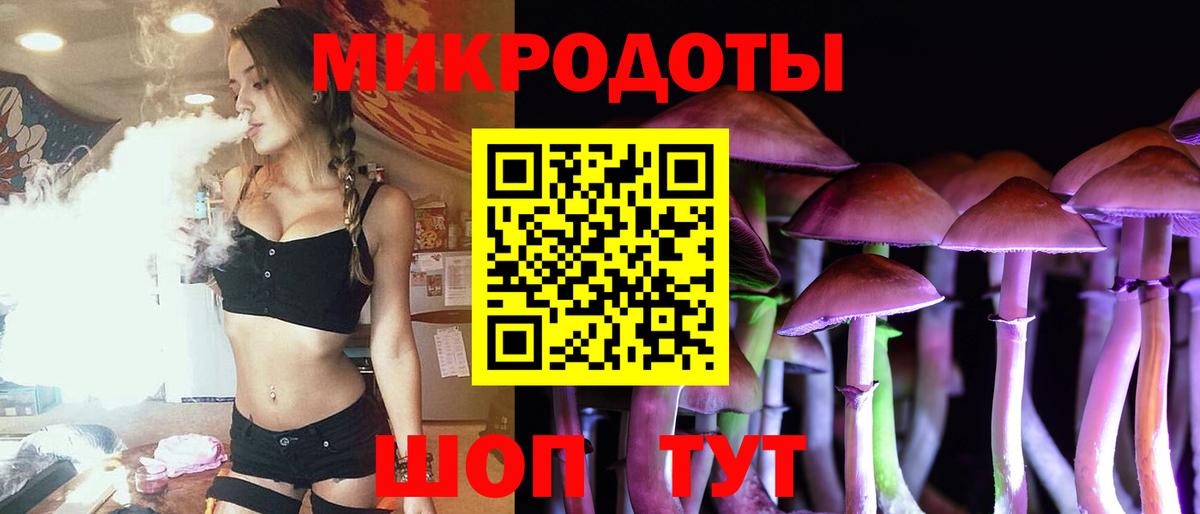 Новодвинск  Псилоцибиновые грибы Psilocybine cubensis  Вход с VPN  Псилоцибиновые грибы Cubensis 