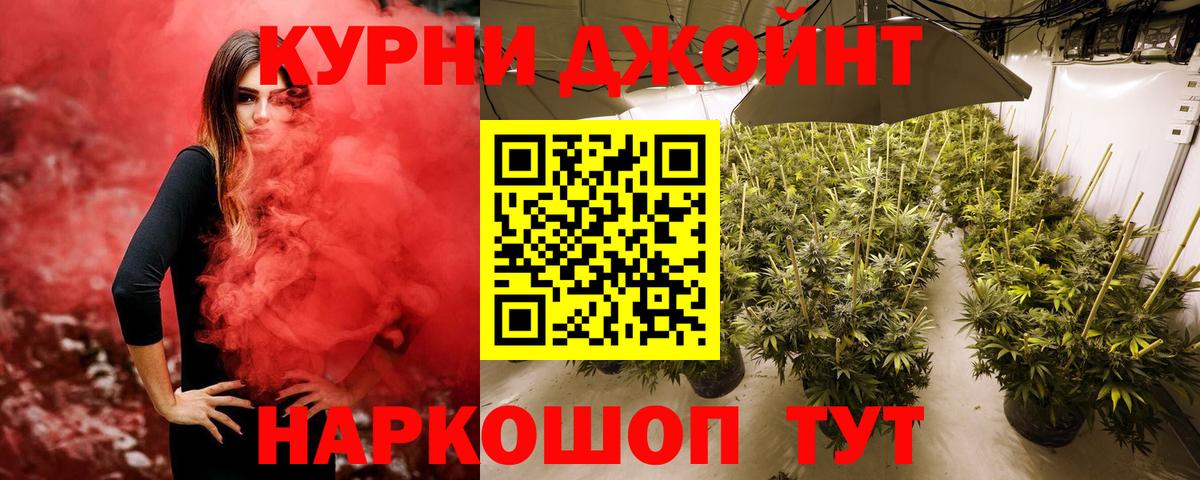 Конопля ГИДРОПОН  Вход с VPN  Канабис MAZAR  Канабис марихуана  Бошки марихуана Bruce Banner  Новодвинск 